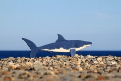 GreatWhiteShark05