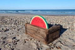 WatermelonSlice9